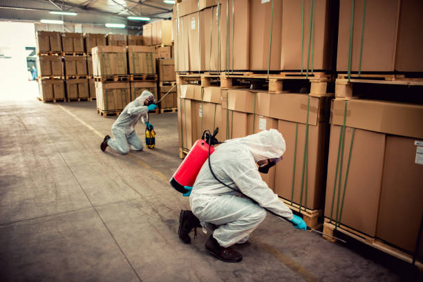 Best Flea Control Services  in Havana, FL